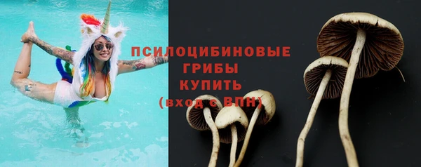 молекула духа Баксан