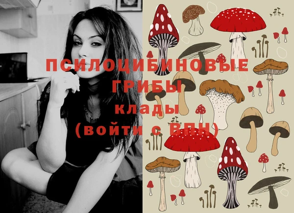 мдпв Балахна