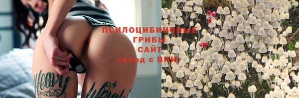 apvp Балабаново