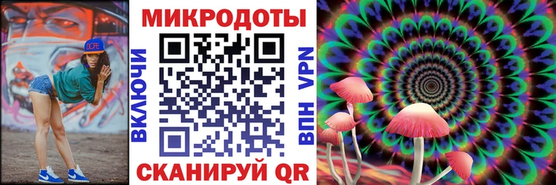Псилоцибиновые грибы Cubensis  Белёв 